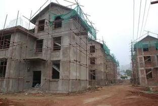 老廖自己爆料建房视频,揭秘乡村建筑魅力  第3张